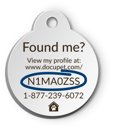 HomeSafe Pet Tag ID Example